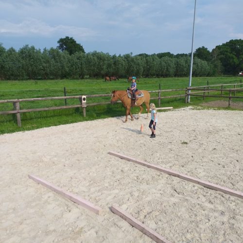 Hufeisen Schnitzeljagd mit Pferden Kinderreitunterricht auf der Reitbahn